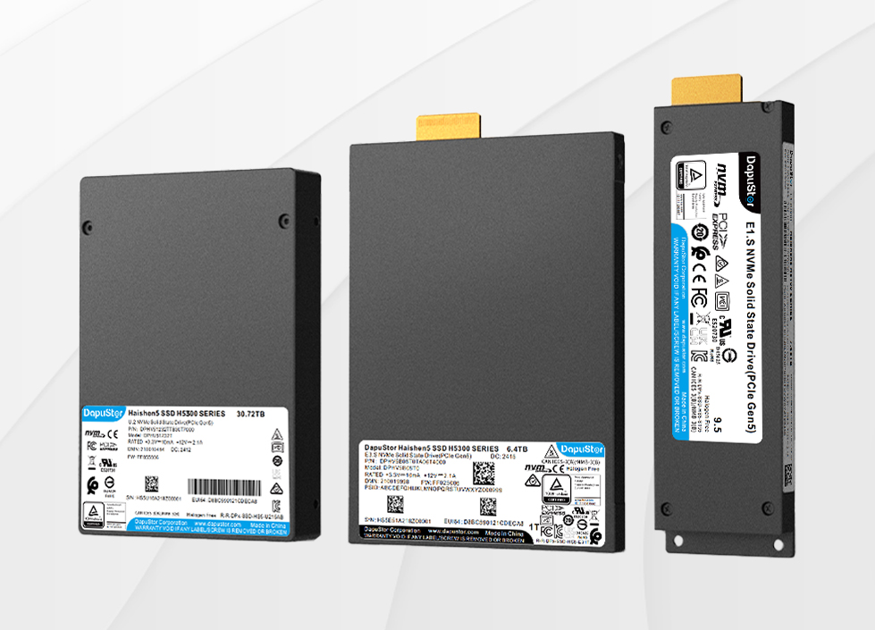 DapuStor?海神Haishen5 H5300系列SSD [圖]